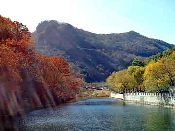 正新澳门二四六天天彩，送快餐的店员